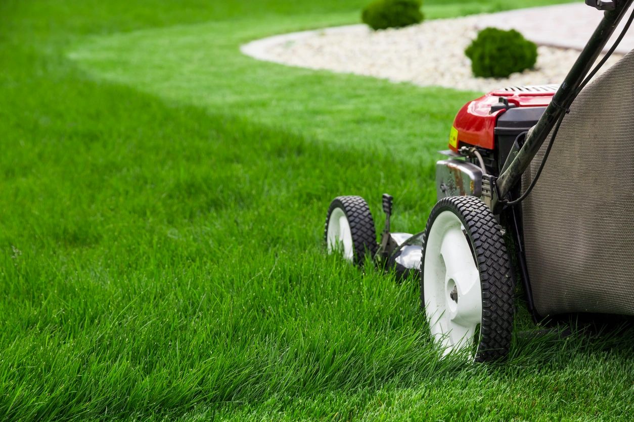 A lawn mower is parked on a green lawn.