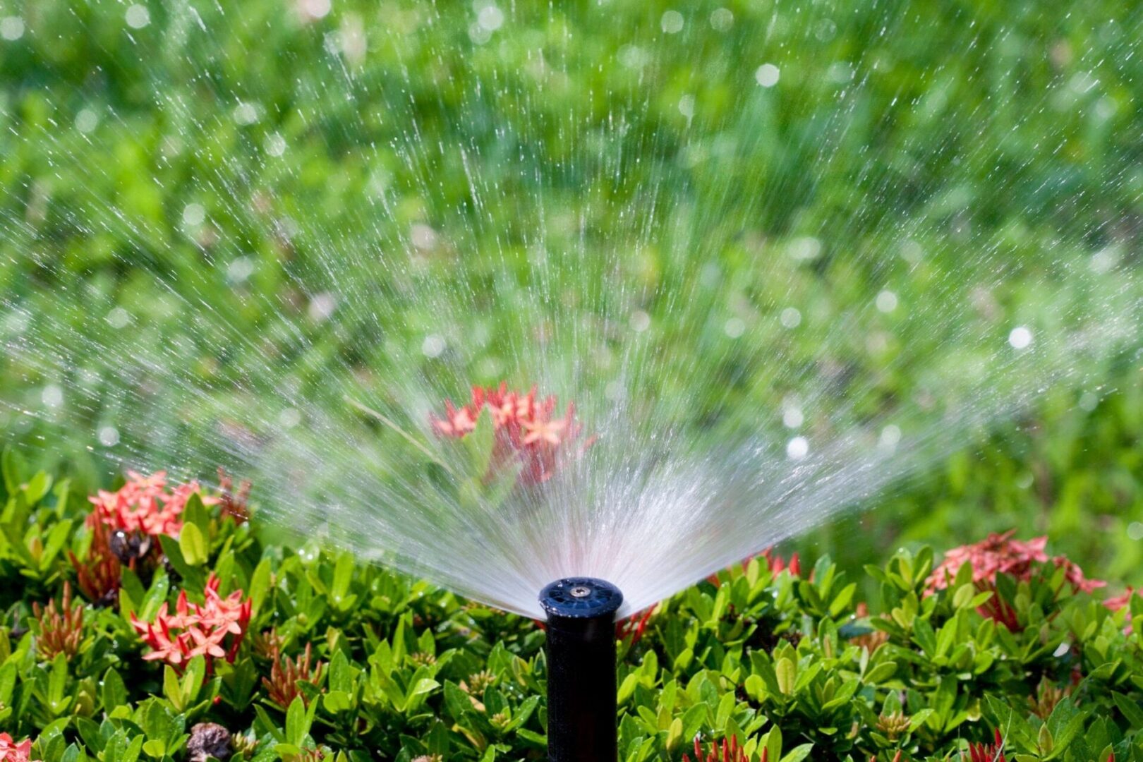 A sprinkler is spraying water on a lawn.