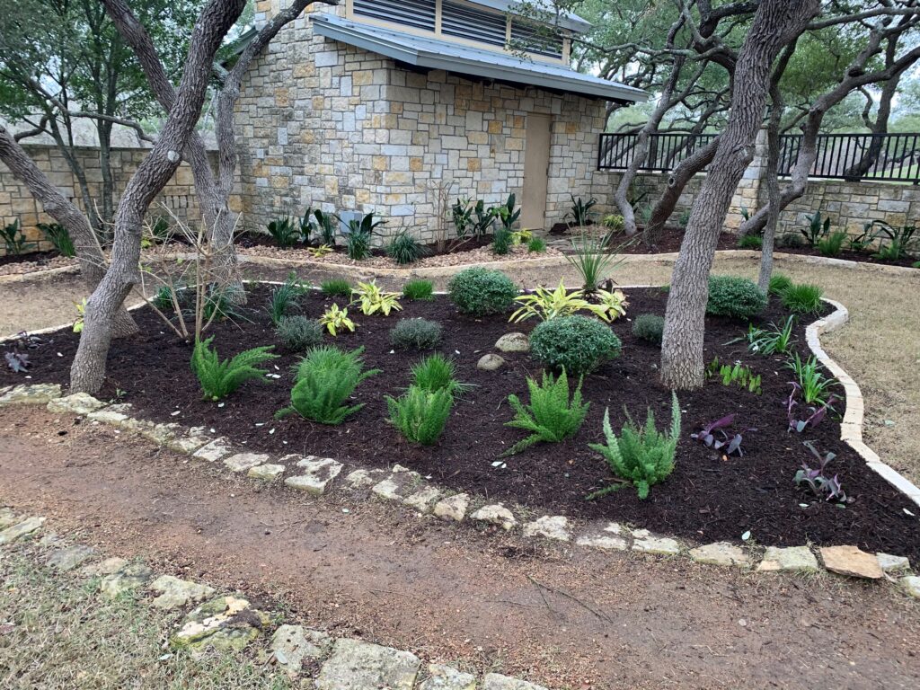 garden with newly planted plants