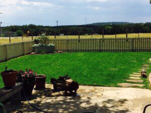 sunny day in a backyard with wooden fences