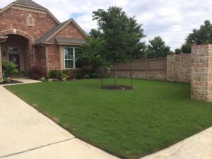 the newly mowed front yard of a residential property