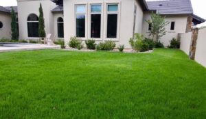 spacious backyard with grass lawn